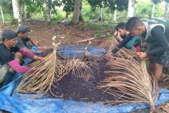 (Foto: Divulgação/Sebrae)