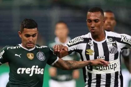 Santos e Palmeiras se enfrentarão no Allianz Parque, neste domingo (Foto: Divulgação/Cesar Greco)