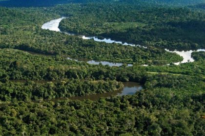 Pesquisadores acreditam que uma reeleição de Bolsonaro seria castastrófica paras a floresta (Foto: Tamara Saré/Agência Pará)