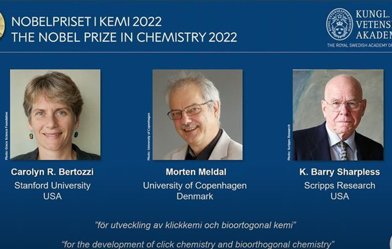 Ganhadores do Nobel de Química trabalham com construção de moléculas (Foto: Kungl Vetenskaps Akademien/Divulgação)