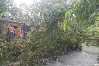 chuva
