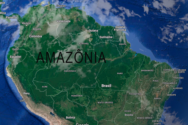 Floresta amazonica