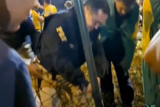 Policial rodoviário corta grade de alambrado (Foto: Twitter/Reprodução)