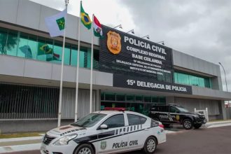 Polícia Civil de Ceilândia informou que homem confessou o crime (Foto: SSP-DF/Divulgação)