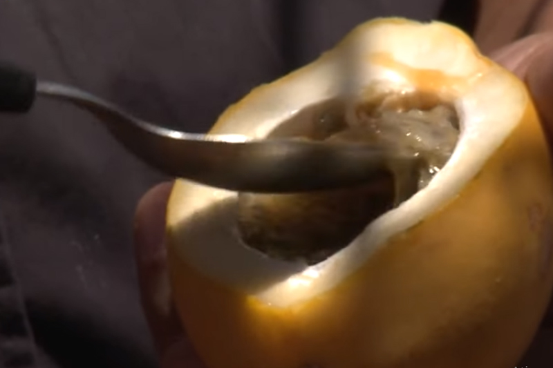 Maracujá amazônico é base de cosméticos antioxidante (Foto: TV Brasil/Reprodução)