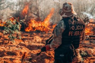 Os policiais federais atuaram em 15 pontos de difícil acesso numa área habitada por índios Tembés (Foto: Presidência da República)