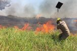incêndios