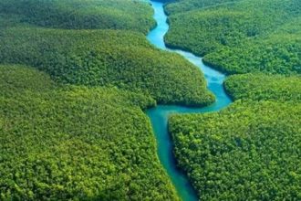 O PRS busca melhorar a gestão da terra e das florestas para o desenvolvimento rural sustentável (Foto: Divulgação/Mapa)
