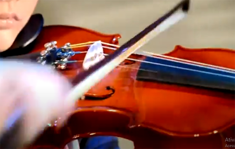 Violino: músicos defendem uso do pau-brasil na fabbricação do instrumento (Foto: TV Brasil/YouTube/Reprodução)