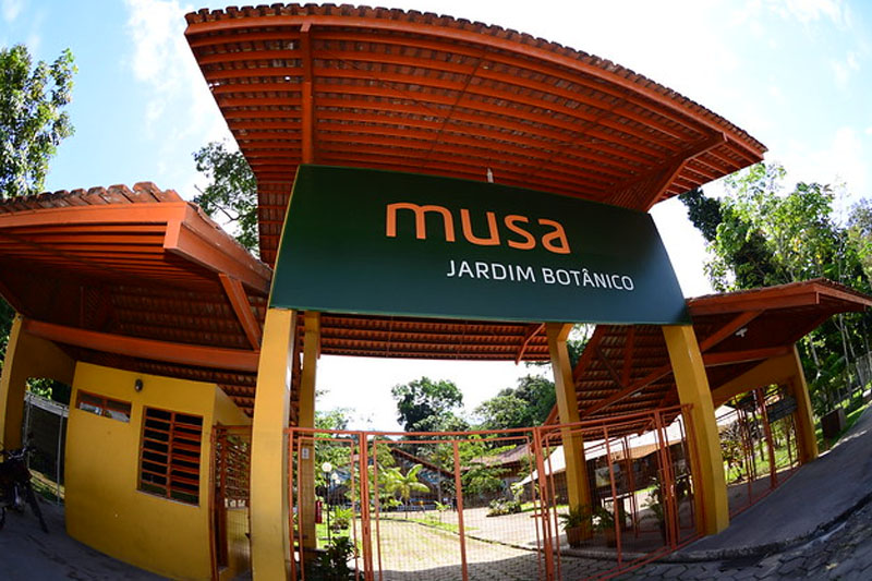 Musa é santuário para conhecer a flora amazônica no Dia da Árvore