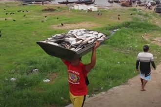 Contaminação de peixes por efeito do garimpo foi identificada em pesquisa (Foto: YouTube/Reprodução)