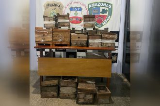 Caixas de colmeias com abelhas foram roubadas (Foto: PC-AM/Divulgação)