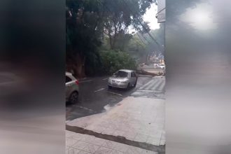 Árvore ficou atravessada na Rua 10 de Julho, Centro de Manaus (Foto: Reprodução/Instagram)