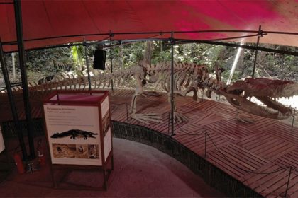 Musa reabre exposição sobre dinossauro neste sábado (Foto: Musa/Divulgação)