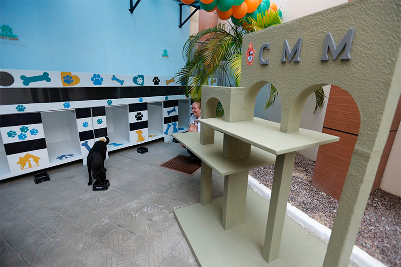 Espaço Pet CMM