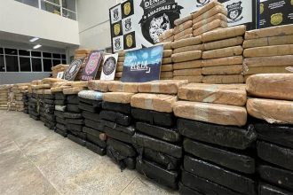 Drogas foram trazidas para Manaus (Foto: Erlon Rodrigues/PC-AM)
