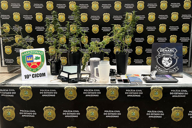 Pés de maconha da espécie californiana foram apreendidos (Foto: Lyandra Peres/PC-AM)