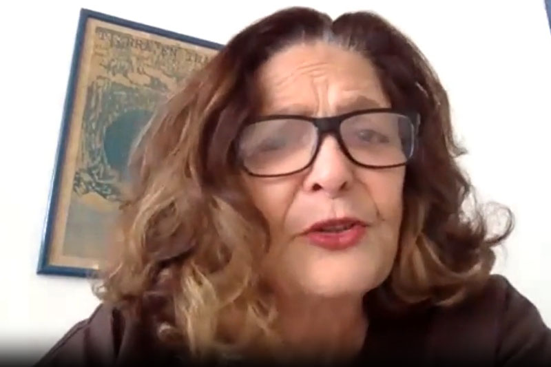 Heloisa Buarque de Hollanda é 10ª mulher imortal da ABL (Foto: YouTube/Reprodução)
