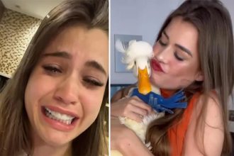 Julia OIympio com Patolino: desespero e recompensa pelo animal d estimação (Fotos: Instagram/Reprodução)