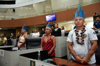 Professores indigenas