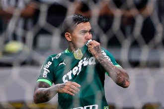Dudu, Palmeiras