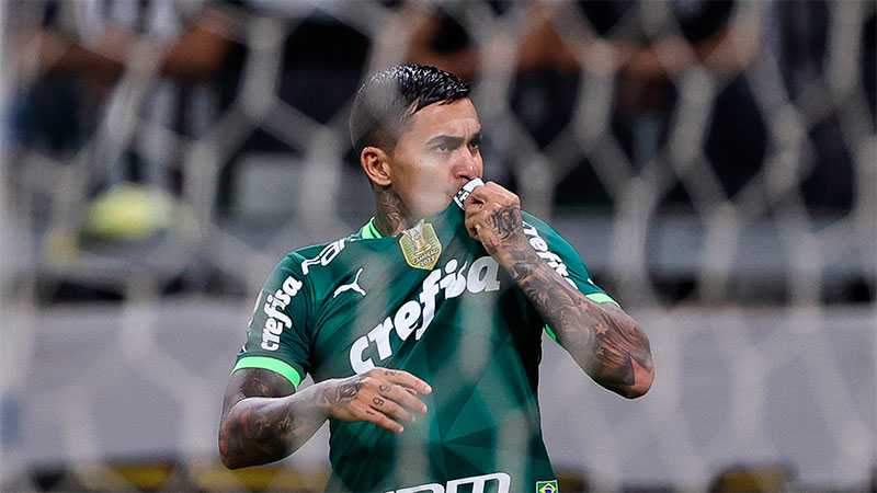 Dudu, Palmeiras