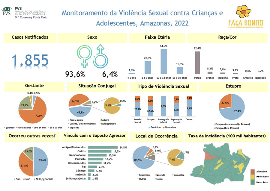 Gráfico sobre os casos de estupro no Amazonas