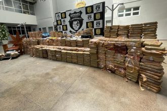 Maconha e cocaína foram avaliadas em R$ 8 milhões (Foto: Erlon Rodrigues/PC-AM)