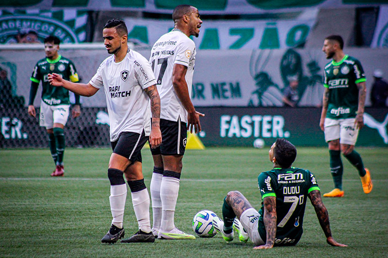 Botafogo Vence Palmeiras Em SP E Dispara Na Liderança Do Brasileiro