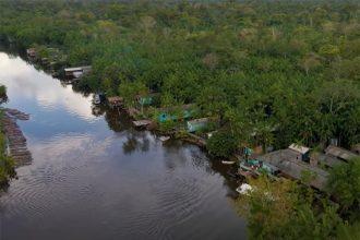 Comunidades ganham dinheiro com exploração de resina vegetal (Foto: YouTube/Reprodução)