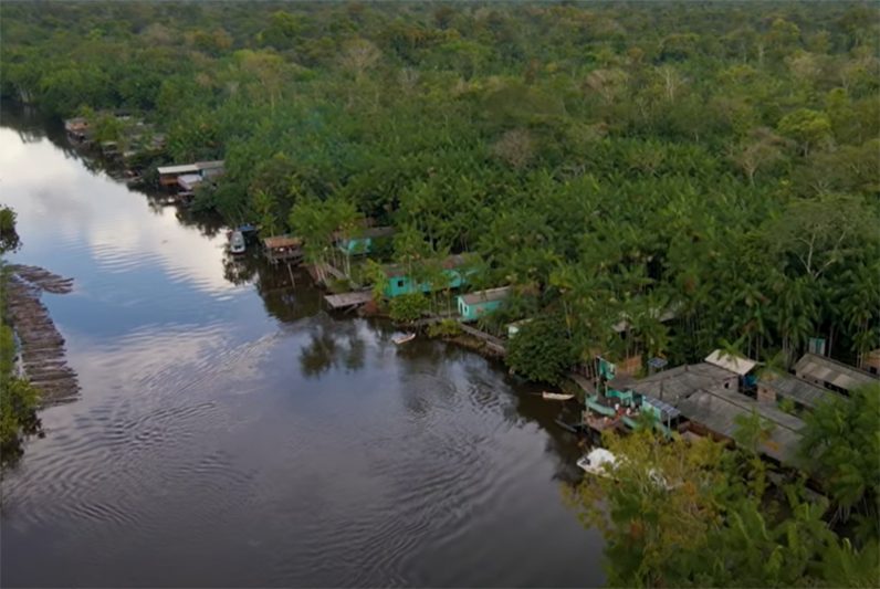 Comunidades ganham dinheiro com exploração de resina vegetal (Foto: YouTube/Reprodução)