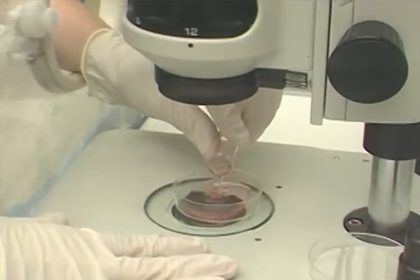 Fertilização in vitro: remédios para infertilidade tem alta nas vendas no Brasil (Foto: YouTube/Reprodução)