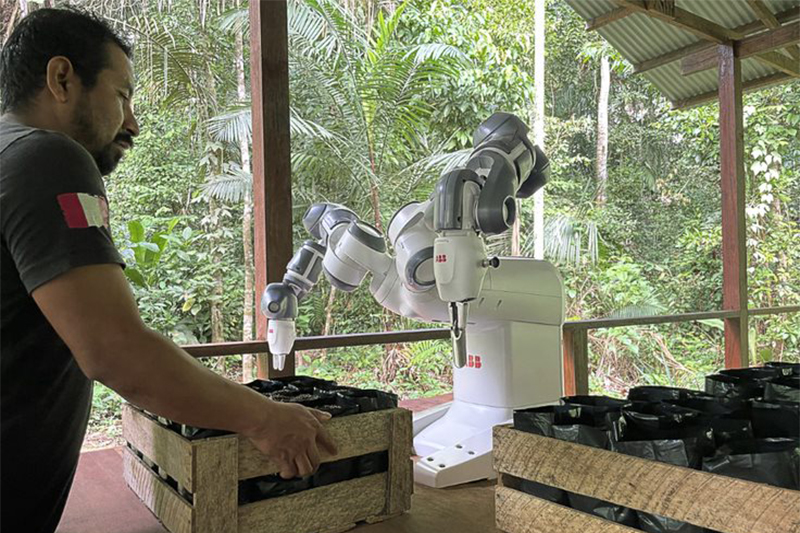 Robô YuMi é ativado na Suécia e realiza plantio de sementes na Amazônia peruana (Foto: ABB/Divulgação)