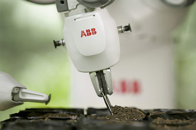 Robô realiza plantio de mudas mais rápido (Foto: ABB/Divulgação)