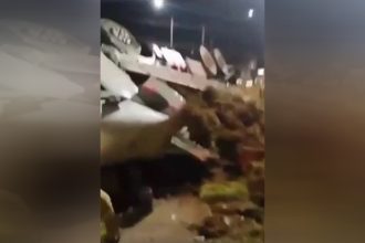Droga estava escondida em rolos de grama (Foto: Twitter/Reprodução)