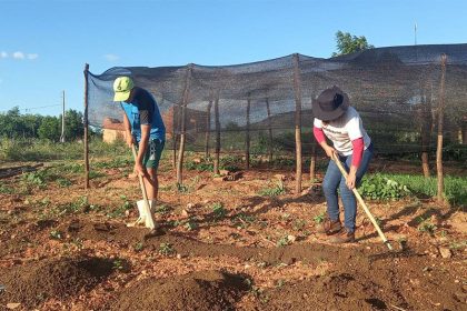 Trabalhadores da agricultura querem custo menor para produção de alimentos (Foto: Embrapa/Divulgação)