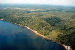 Amazônia