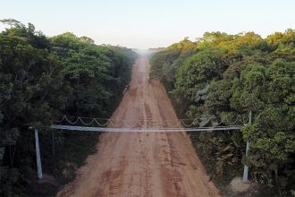 Serão instaladas 70 pontes suspensas na BR-319 (Foto: Michael Dantas/WCS)