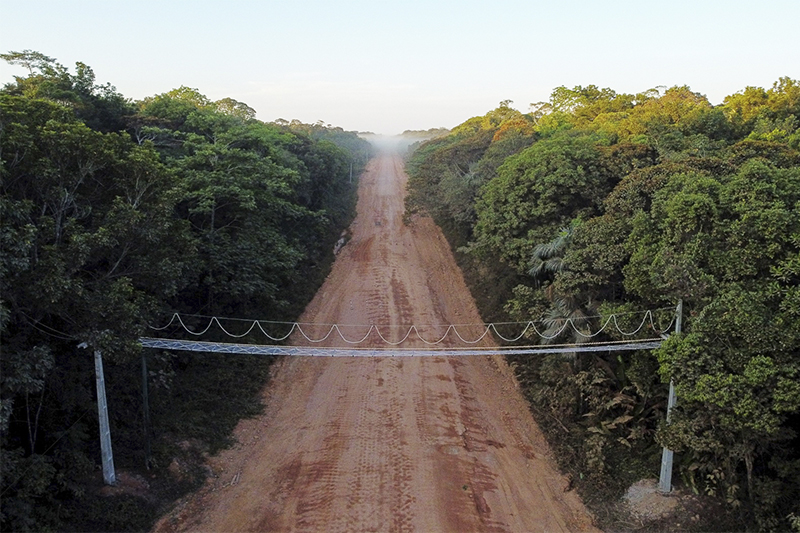 Serão instaladas 70 pontes suspensas na BR-319 (Foto: Michael Dantas/WCS)