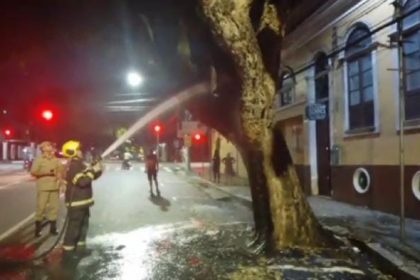 Bombeiros resfriam árvore que pegou fogo na Rua Ferreira Pena (Foto: Reprodução)