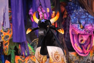 Caprichoso mostra mitologia amazônica em apresentação multicolorida (Foto: Alex Pazuello/Secom-Gov AM)