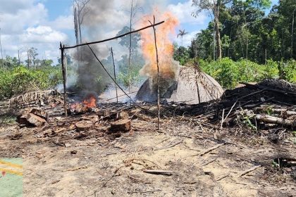 Fornos para fabricar carvão foram destruídos e material apreendido por agentes do Ipaam (Foto: Ipaam/Divulgação)