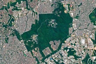 Floresta Manaós