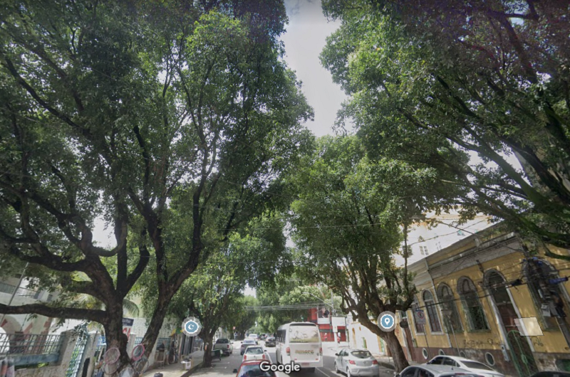 Rua Ferreira Pena é arborizada e copas dos oitizeirs se entrelaçam (Foto: Google Maps/Reprodução)