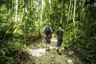 Ecoturismo no Amazonas: ambiente ideal para a atividade no Amazonas (Foto: Janailton Falcão/Amazonastur)