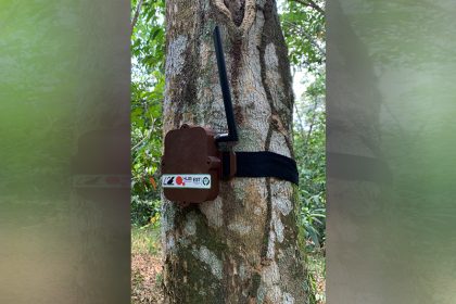 Sensor batizado de Curupira identifica sons de anomalias na floresta (Foto: Taize Batista/UEA/Divulgação)