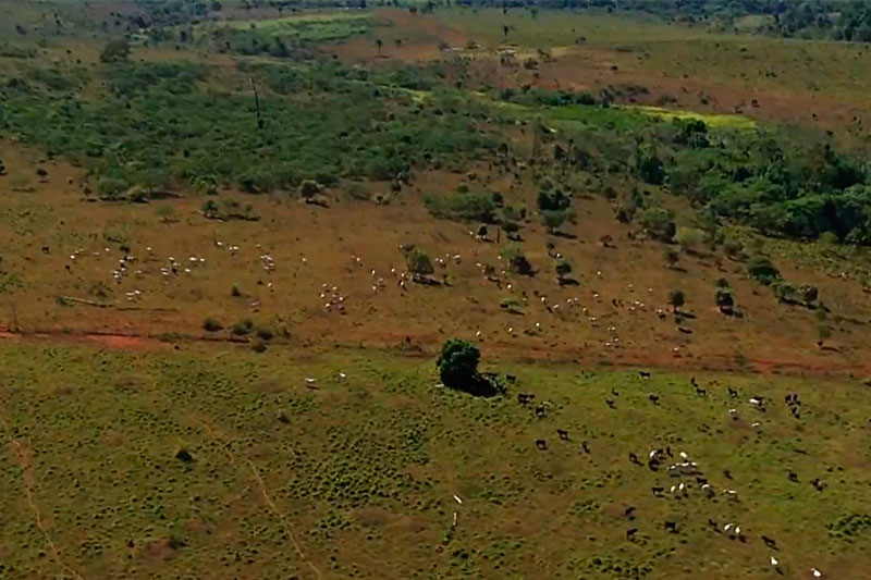desmatamento na Amazônia