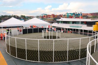 Cabos de fibra óptica - Anatel