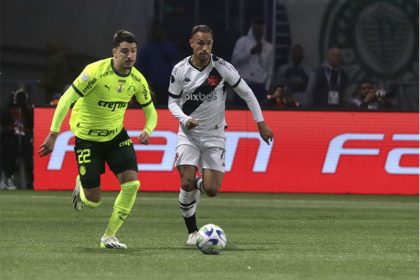 Lance de Palmeiras x Vasco: anulação polêmica de gol (Foto: Leandro Amorim/vasco.com.br)