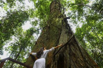 Turista abraça tronco do Angelim Pedra: árvore gigante (Foto: Arthur Castro/Secom)